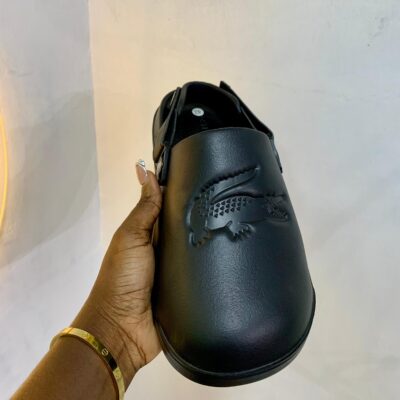 Alligator Design Slides